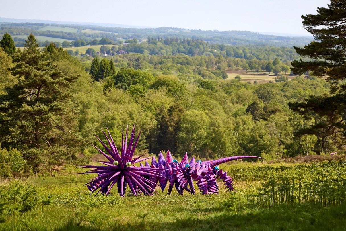 Poppet roams Ashdown Forest as part of The Big One Hundred presented by Trigger. Photo by David Levene.