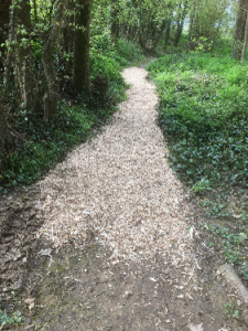 improved the paths in church wood and to make more user friendly and adding signage.