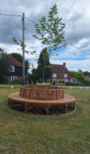Incorporated seating, round trees at posey green