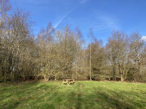 Post image at Uckfield Millennium Green