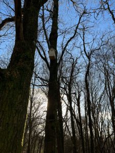 Post image of Wadhurst Parish Council 