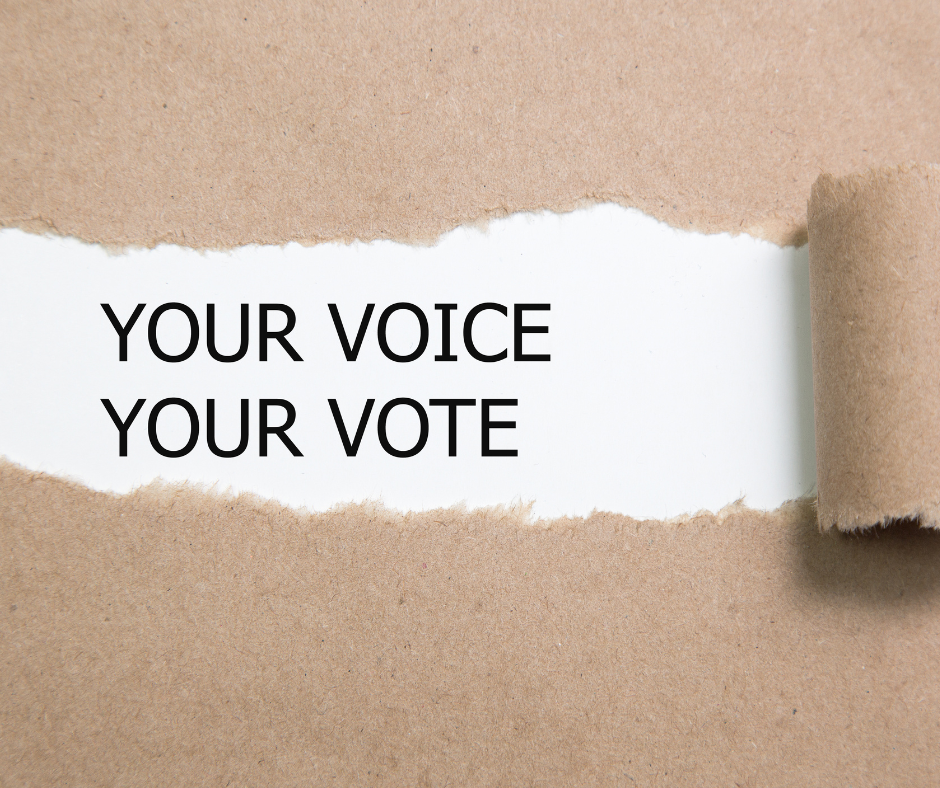 Your Voice, Your Vote